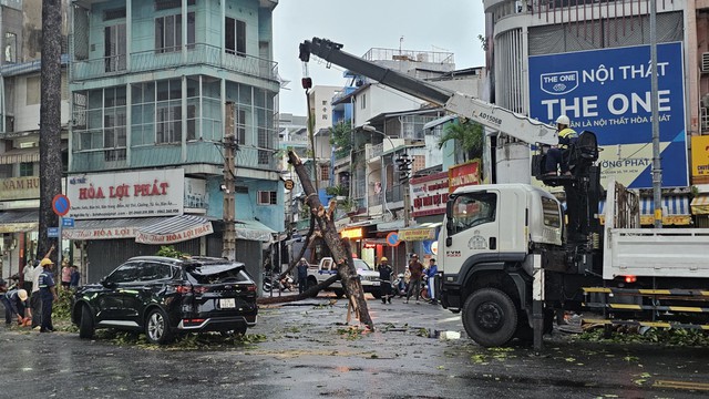 Hú hồn cây xanh gãy ngang đè ô tô trên đường phố TP.HCM- Ảnh 1.