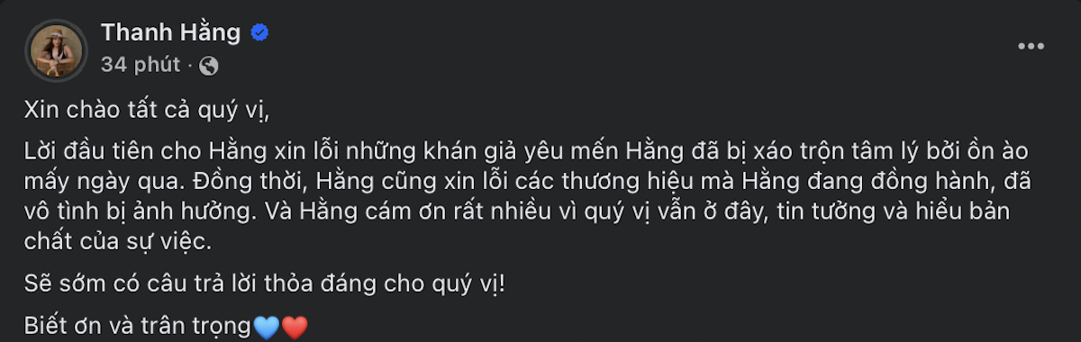 Công an quận Bình Thạnh nhận đơn tố cáo Hoàng Thùy của Thanh Hằng- Ảnh 1.