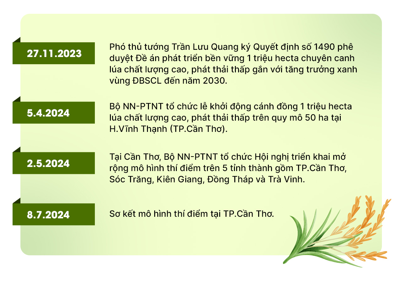 Nâng tầm gạo Việt- Ảnh 9.