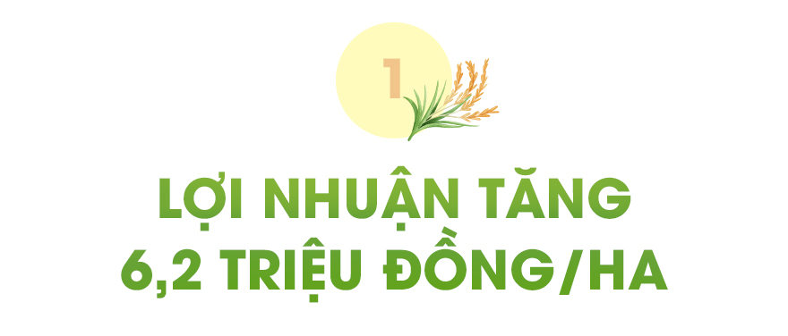 Nâng tầm gạo Việt- Ảnh 1.