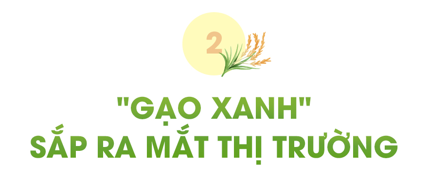 Nâng tầm gạo Việt- Ảnh 4.