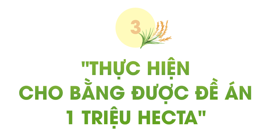 Nâng tầm gạo Việt- Ảnh 10.