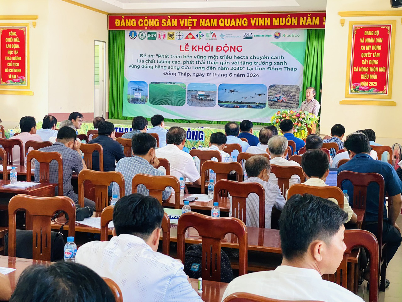 Nâng tầm gạo Việt- Ảnh 2.