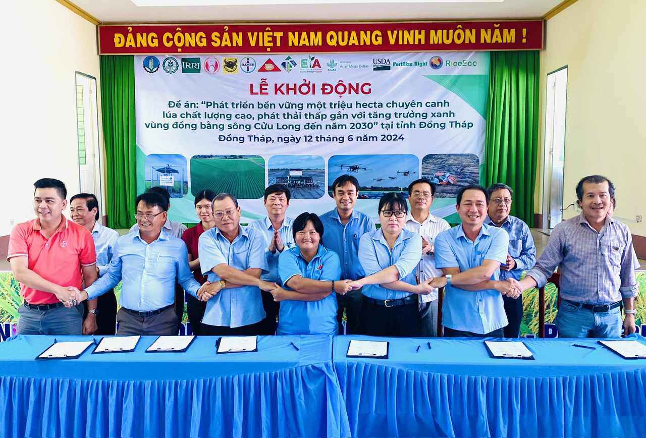 Nâng tầm gạo Việt- Ảnh 3.