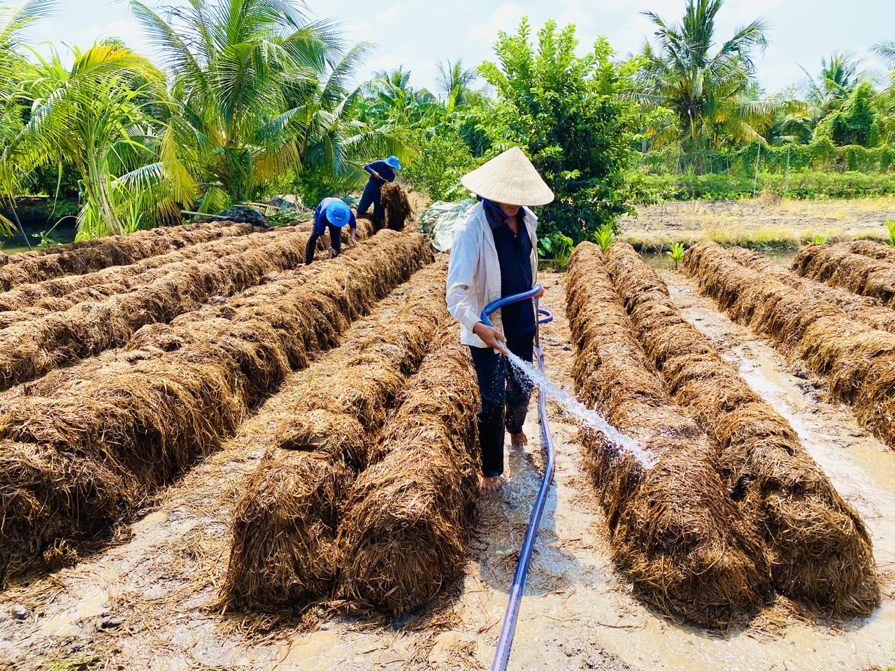 Nâng tầm gạo Việt- Ảnh 12.