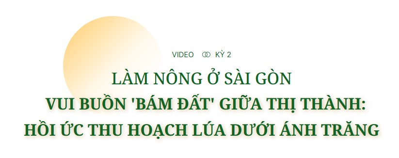 Góc nhỏ bình yên giữa Sài Gòn, cả gia đình sống bằng nghề nuôi bò sữa - Làm nông ở Sài Gòn, kỳ 3- Ảnh 12.