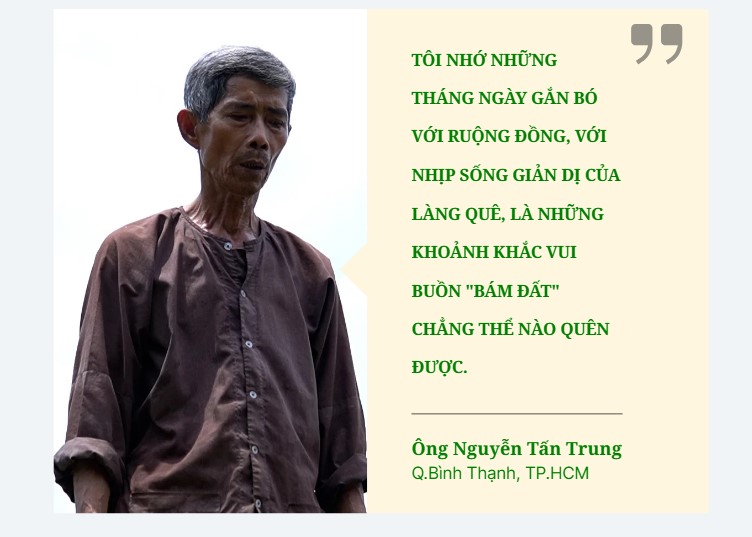 Vui buồn 'bám đất' giữa thị thành: Hồi ức thu hoạch lúa dưới ánh trăng - Làm nông ở Sài Gòn, kỳ 2- Ảnh 3.