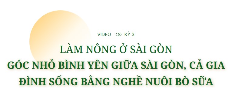 Lời bộc bạch của lão nông chăn trâu sau những cao ốc chọc trời - Làm nông ở Sài Gòn, kỳ 1- Ảnh 13.