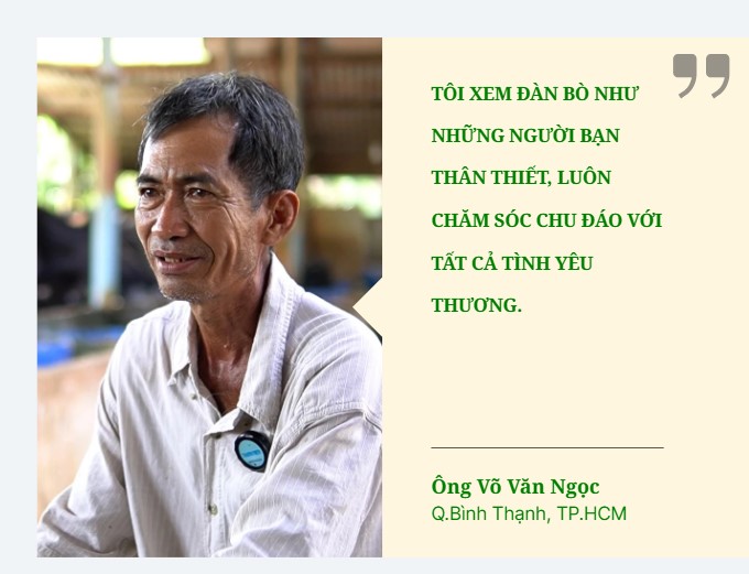 Góc nhỏ bình yên giữa Sài Gòn, cả gia đình sống bằng nghề nuôi bò sữa - Làm nông ở Sài Gòn, kỳ 3- Ảnh 3.