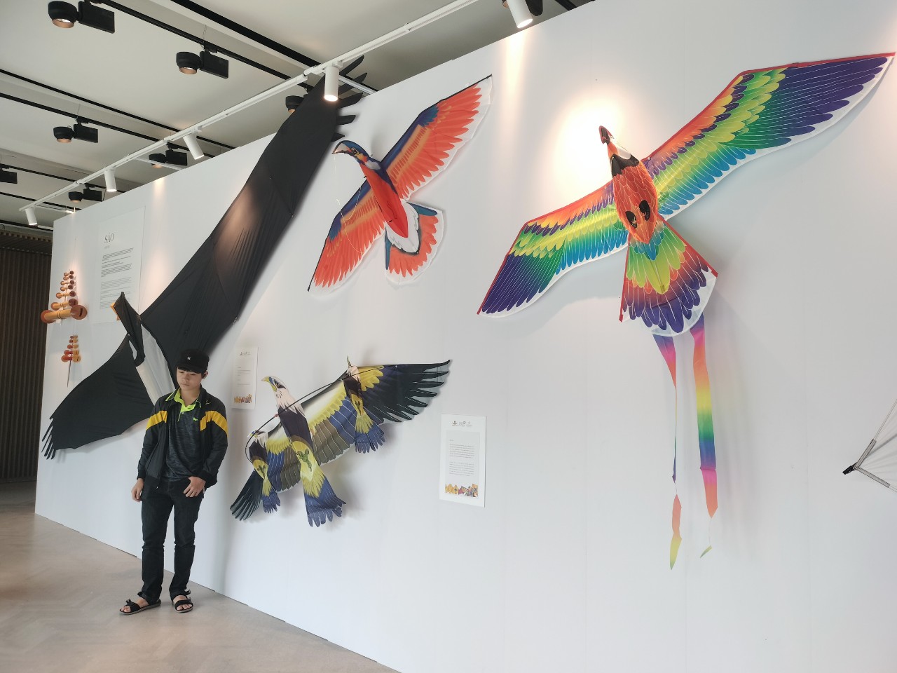 100 loại diều rực rỡ quy tụ tại Lễ hội diều quốc tế - Quảng Nam 2024- Ảnh 9. 100 loại diều rực rỡ quy tụ tại Lễ hội diều quốc tế - Quảng Nam 2024- Ảnh 9.