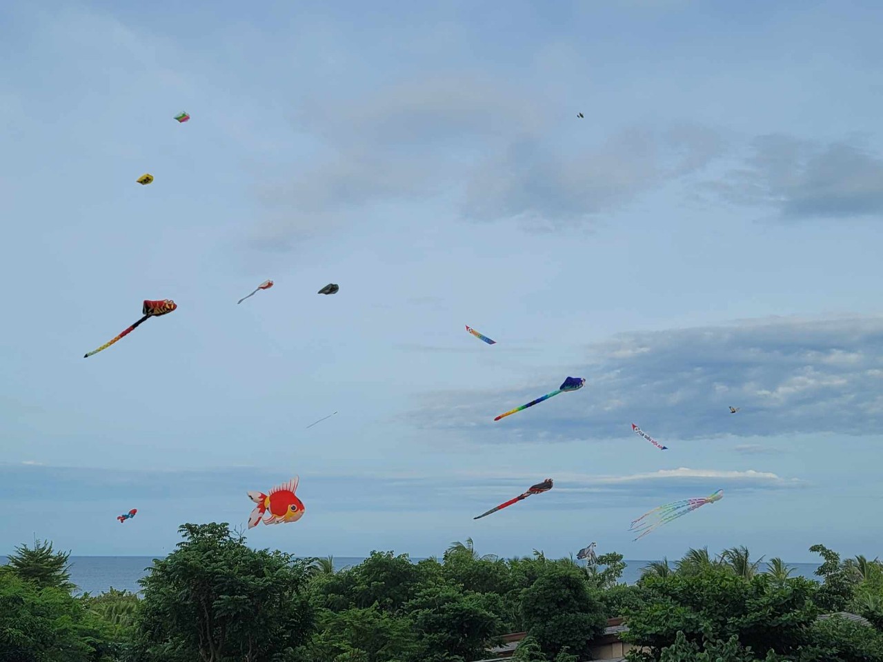 100 loại diều rực rỡ quy tụ tại Lễ hội diều quốc tế - Quảng Nam 2024- Ảnh 10. 100 loại diều rực rỡ quy tụ tại Lễ hội diều quốc tế - Quảng Nam 2024- Ảnh 10.