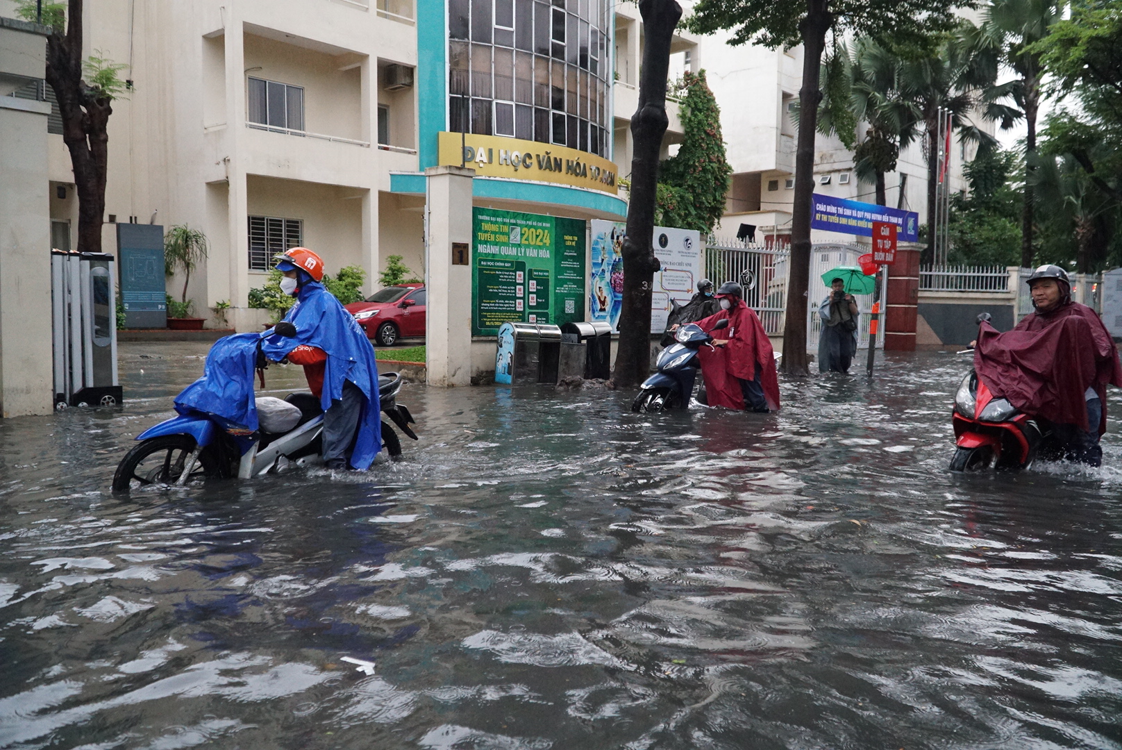 ‘Phố nhà giàu' Thảo Điền lại hóa sông sau mưa lớn, dân khổ sở lội nước đẩy xe- Ảnh 1.