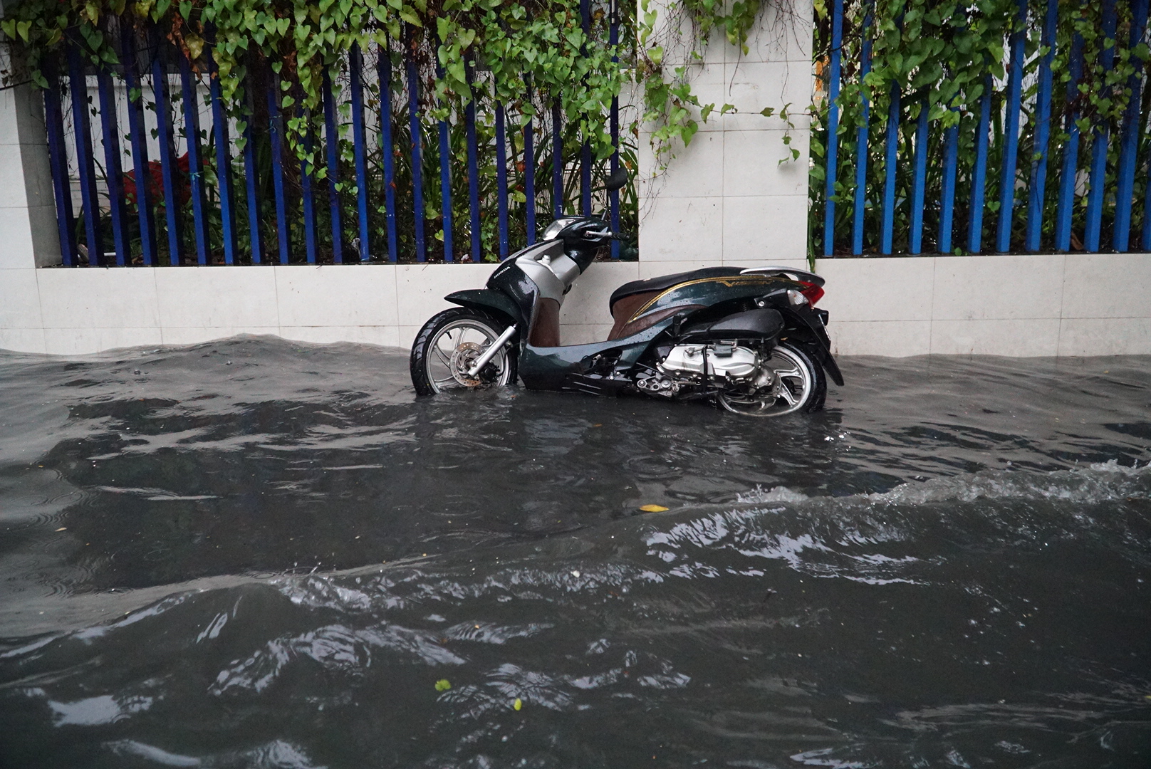 ‘Phố nhà giàu’ Thảo Điền tiếp tục ngập nước lênh láng sau mưa lớn- Ảnh 10.