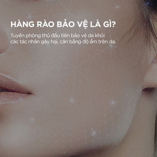 Vì sao nên ưu tiên phục hồi hàng rào bảo vệ của làn da?- Ảnh 1.