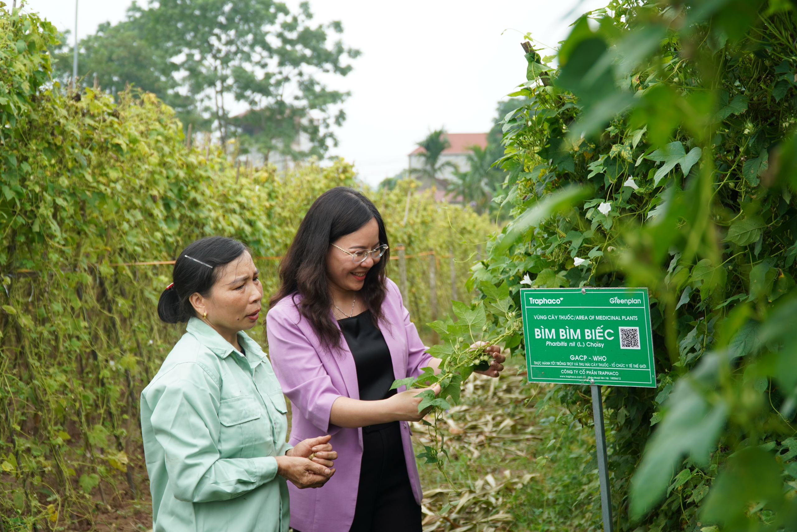 Xu hướng sống Xanh, nhiều người tìm dùng sản phẩm sức khỏe thân thiện môi trường- Ảnh 3. Xu hướng sống Xanh, nhiều người tìm dùng sản phẩm sức khỏe thân thiện môi trường- Ảnh 3.