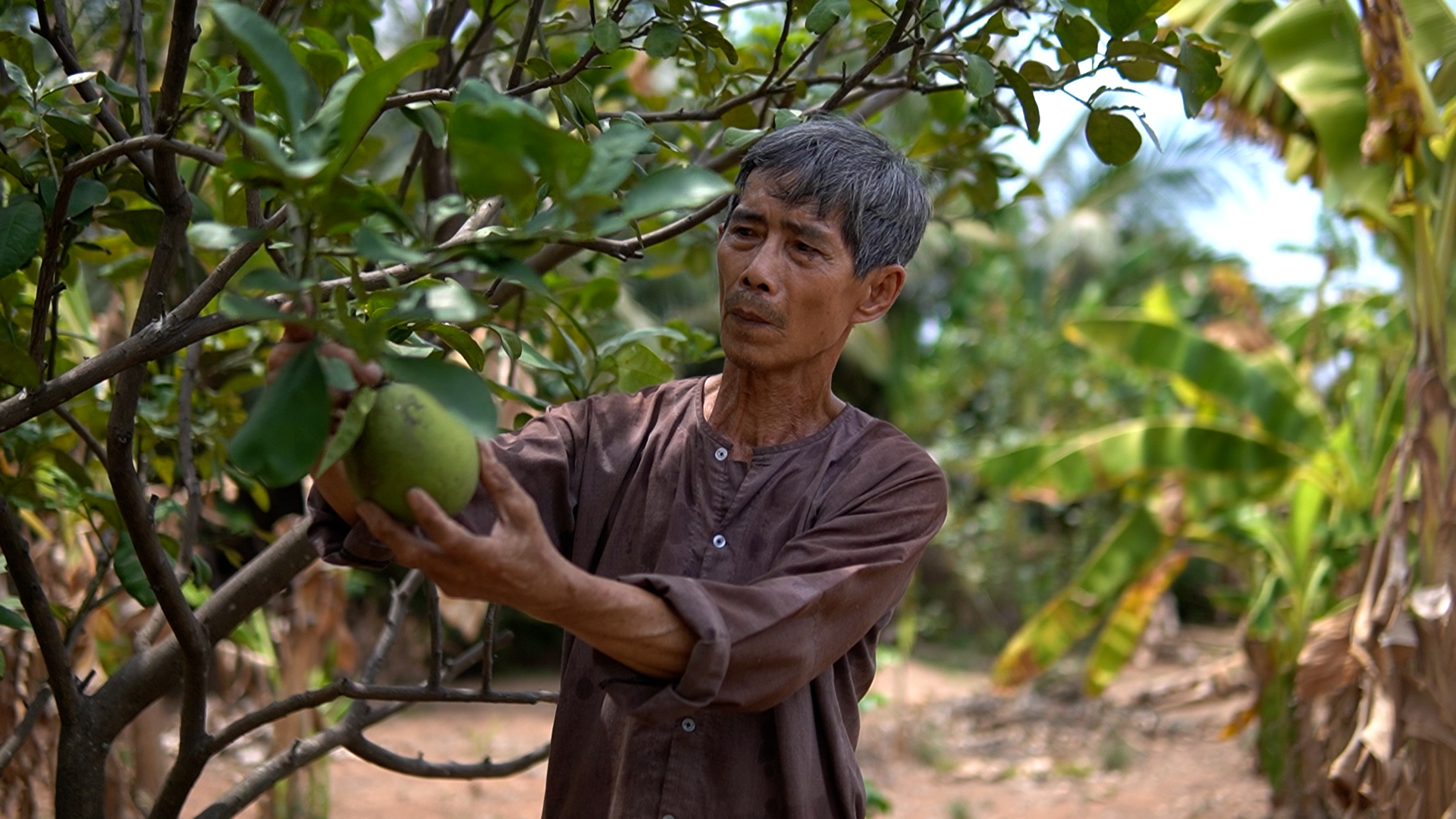 Vui buồn 'bám đất' giữa thị thành: Hồi ức thu hoạch lúa dưới ánh trăng - Làm nông ở Sài Gòn, kỳ 2- Ảnh 5.