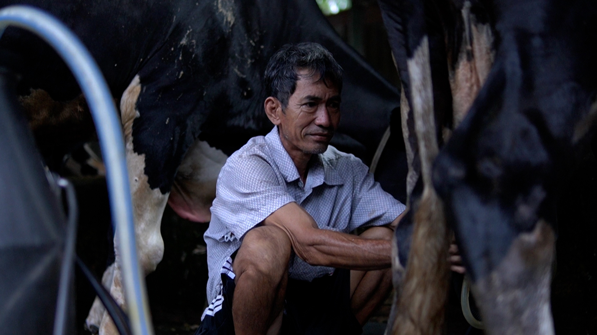 Vui buồn 'bám đất' giữa thị thành: Hồi ức thu hoạch lúa dưới ánh trăng - Làm nông ở Sài Gòn, kỳ 2- Ảnh 8.