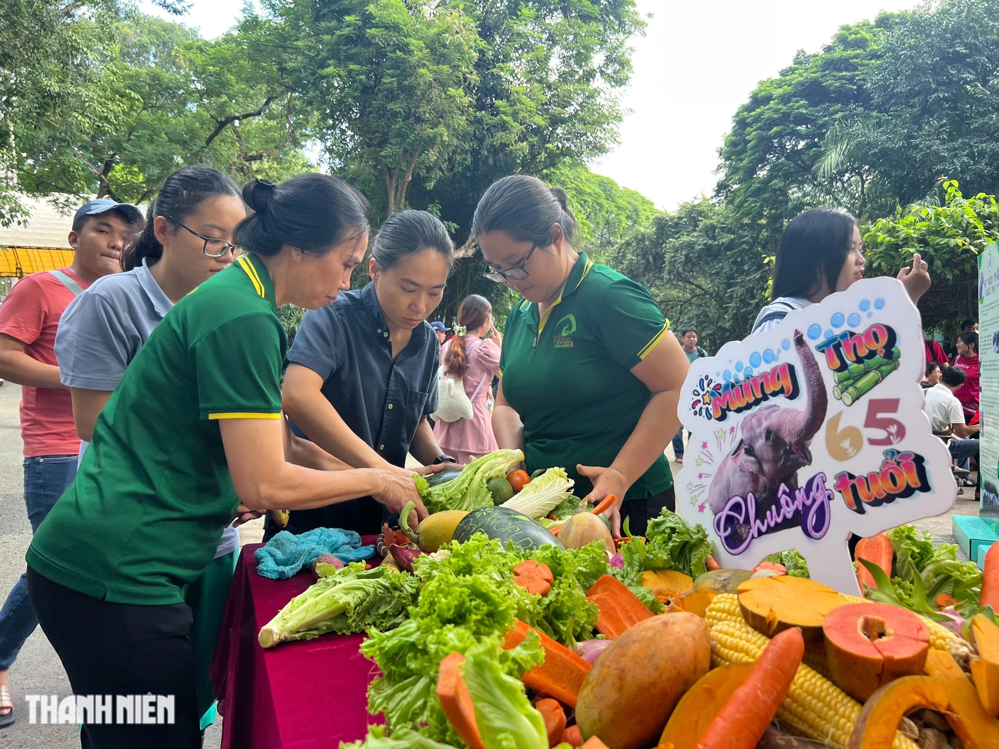 Lần đầu tiên Thảo Cầm Viên Sài Gòn mừng thọ 'bà lão' voi Chuông- Ảnh 4.