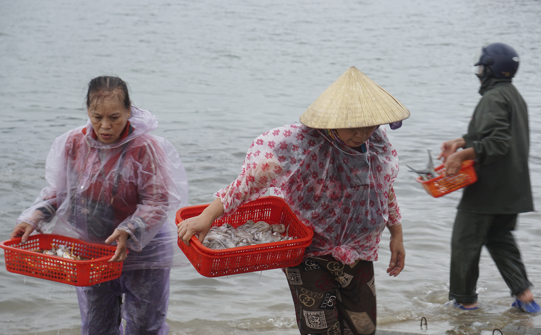 Chợ cá biển Thiên Cầm- Ảnh 7.