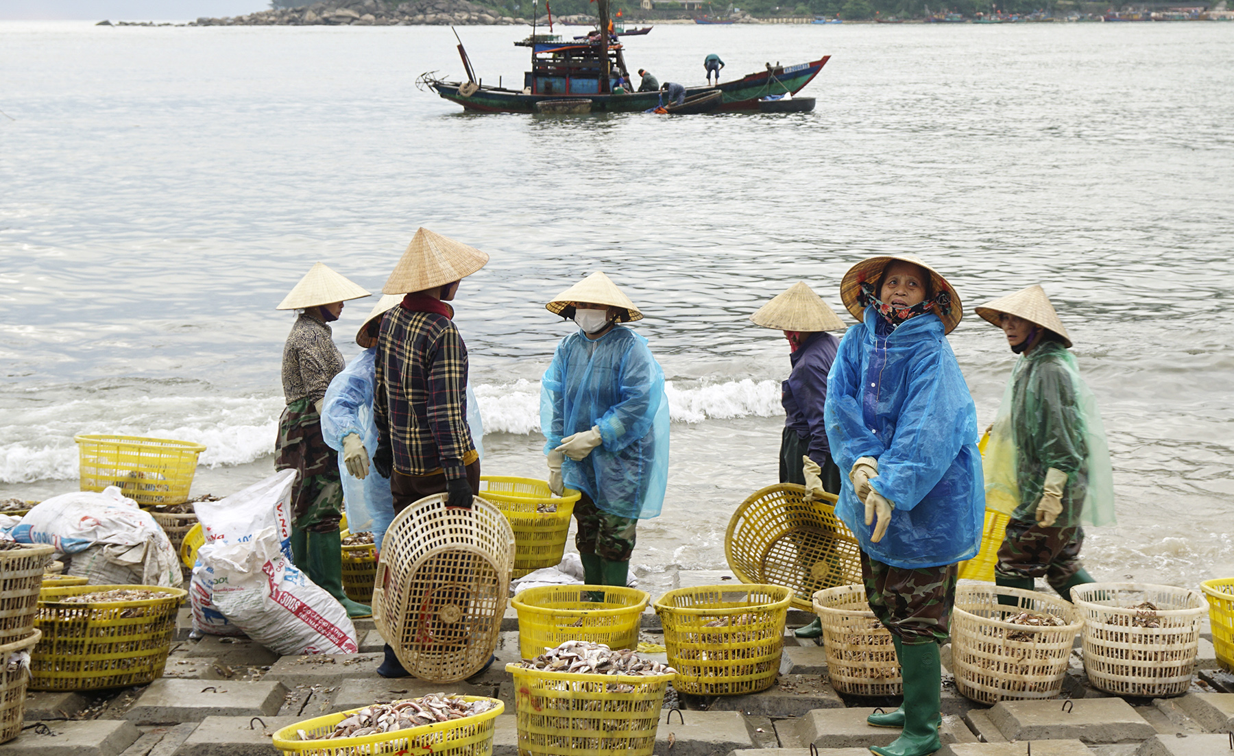 Chợ cá biển Thiên Cầm- Ảnh 9.