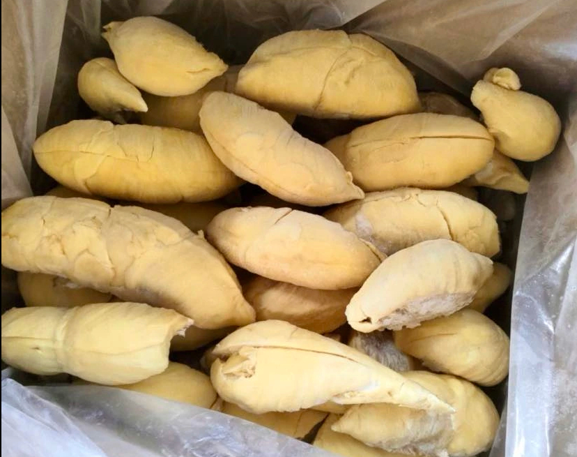 Export Frozen Durian