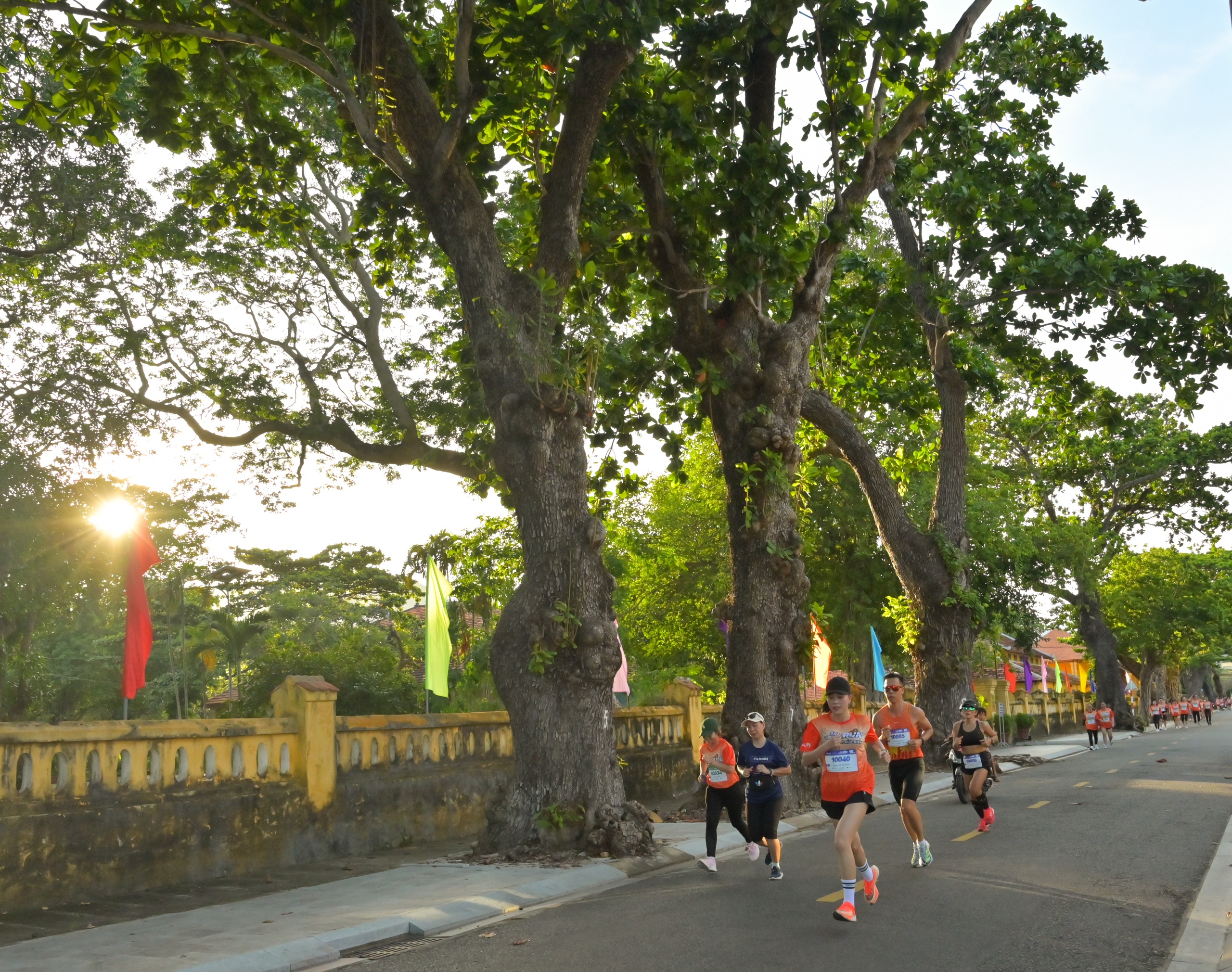 Đang chạy bộ vì rùa biển Côn Đảo, giải cứu luôn chú rùa mắc cạn ở bãi Lò Vôi- Ảnh 11. Đang chạy bộ vì rùa biển Côn Đảo, giải cứu luôn chú rùa mắc cạn ở bãi Lò Vôi- Ảnh 11.