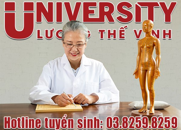 Xét tuyển NV2 Đại học ngành Y học cổ truyền, được miễn 100% học phí năm 2024- Ảnh 2.