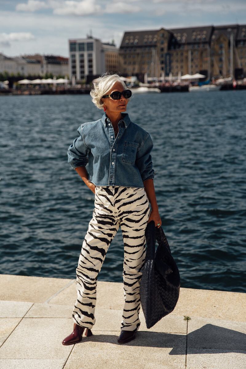 Το μοτίβο ζέβρας επιστρέφει και «ανατρέπει» το μοτίβο λεοπάρ - Φωτογραφία 4. Họa tiết ngựa vằn quay trở lại và 'lật đổ' họa tiết da báo- Ảnh 4.