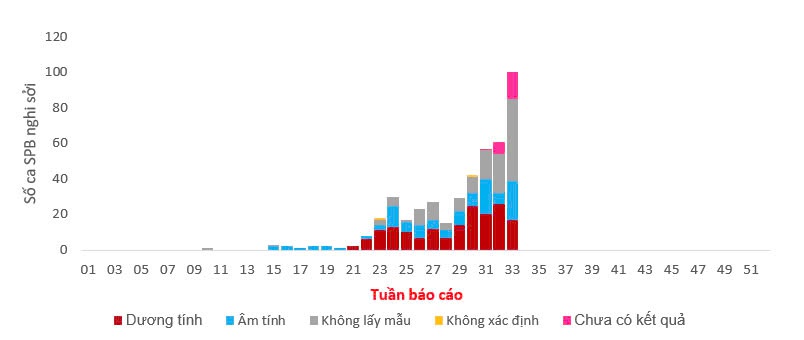 Tình hình dịch bệnh sởi mới nhất tại TP.HCM- Ảnh 1.