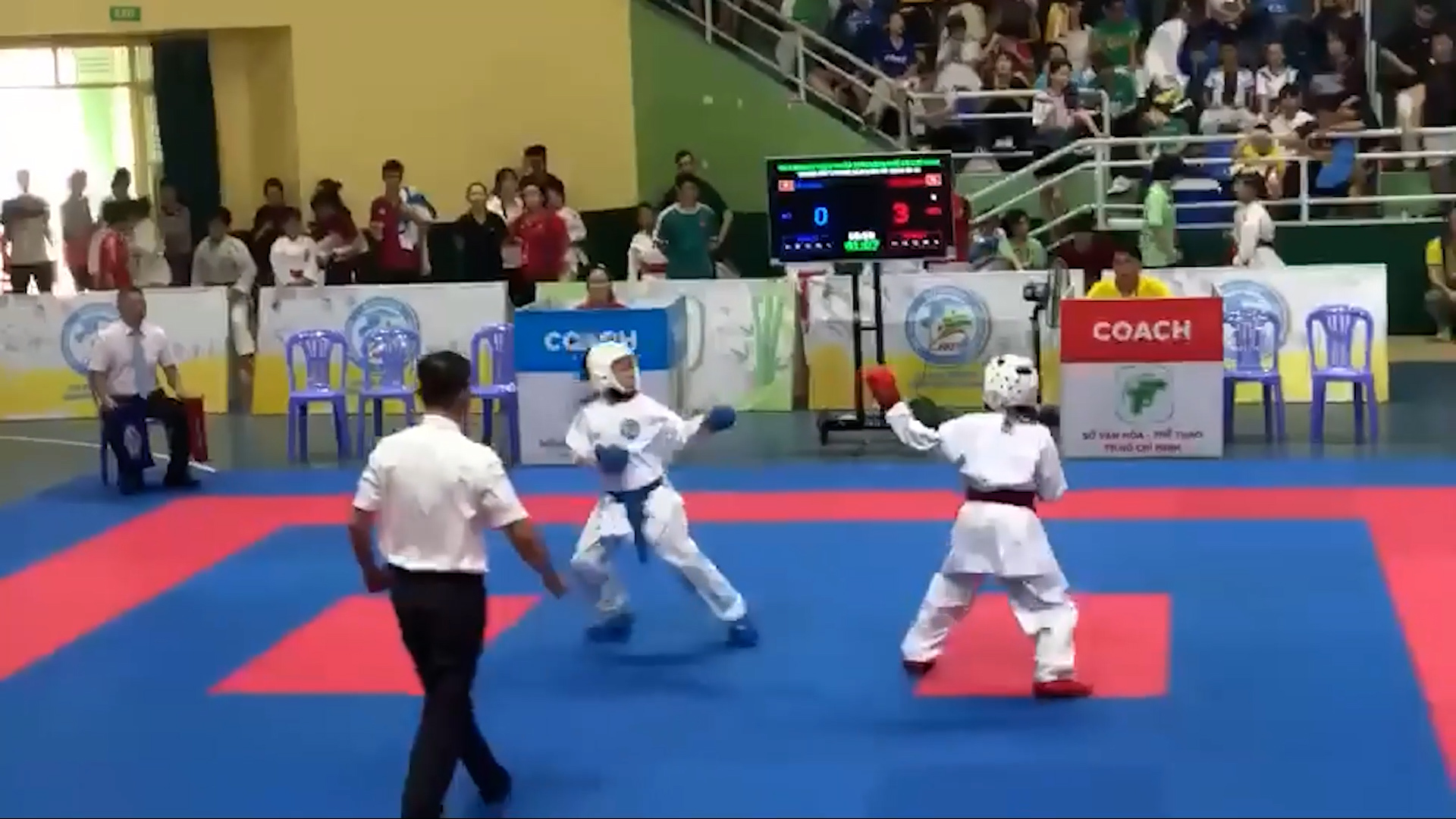 Công bố kết quả giám định độc lập vụ tố nhường huy chương giải karate trẻ TP.HCM- Ảnh 2.