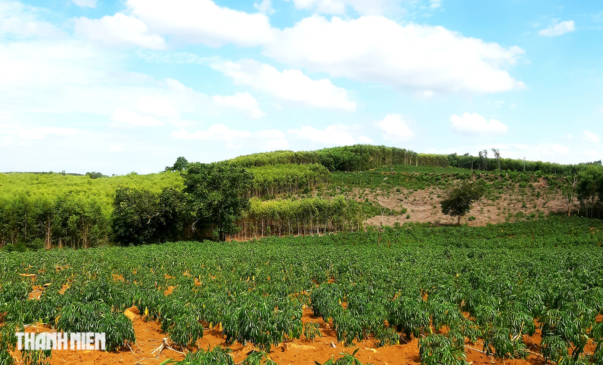 Miền cao nguyên mát lành giữa Phú Yên- Ảnh 8.