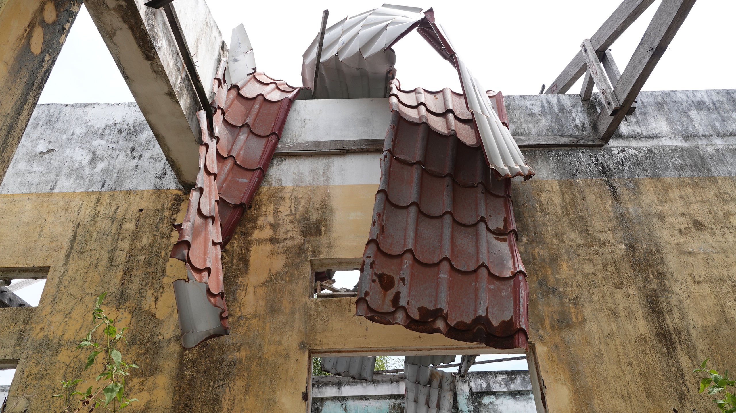 Khu tái định cư 11 tỉ đồng ở Quảng Ngãi bị bỏ hoang hàng chục năm- Ảnh 9. Khu tái định cư 11 tỉ đồng ở Quảng Ngãi bị bỏ hoang hàng chục năm- Ảnh 9.