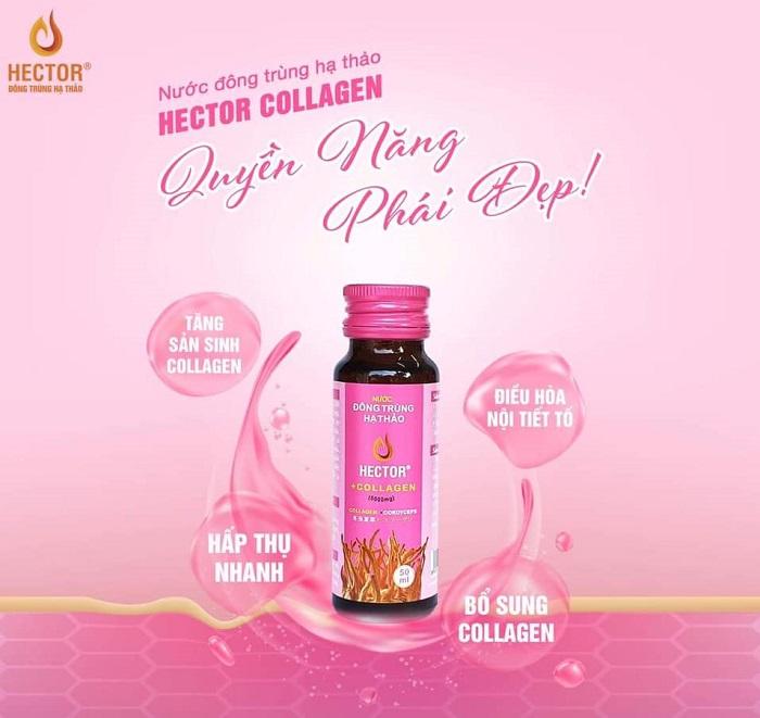 Đông trùng hạ thảo Hector Collagen: Công dụng, cách sử dụng và địa chỉ mua uy tín