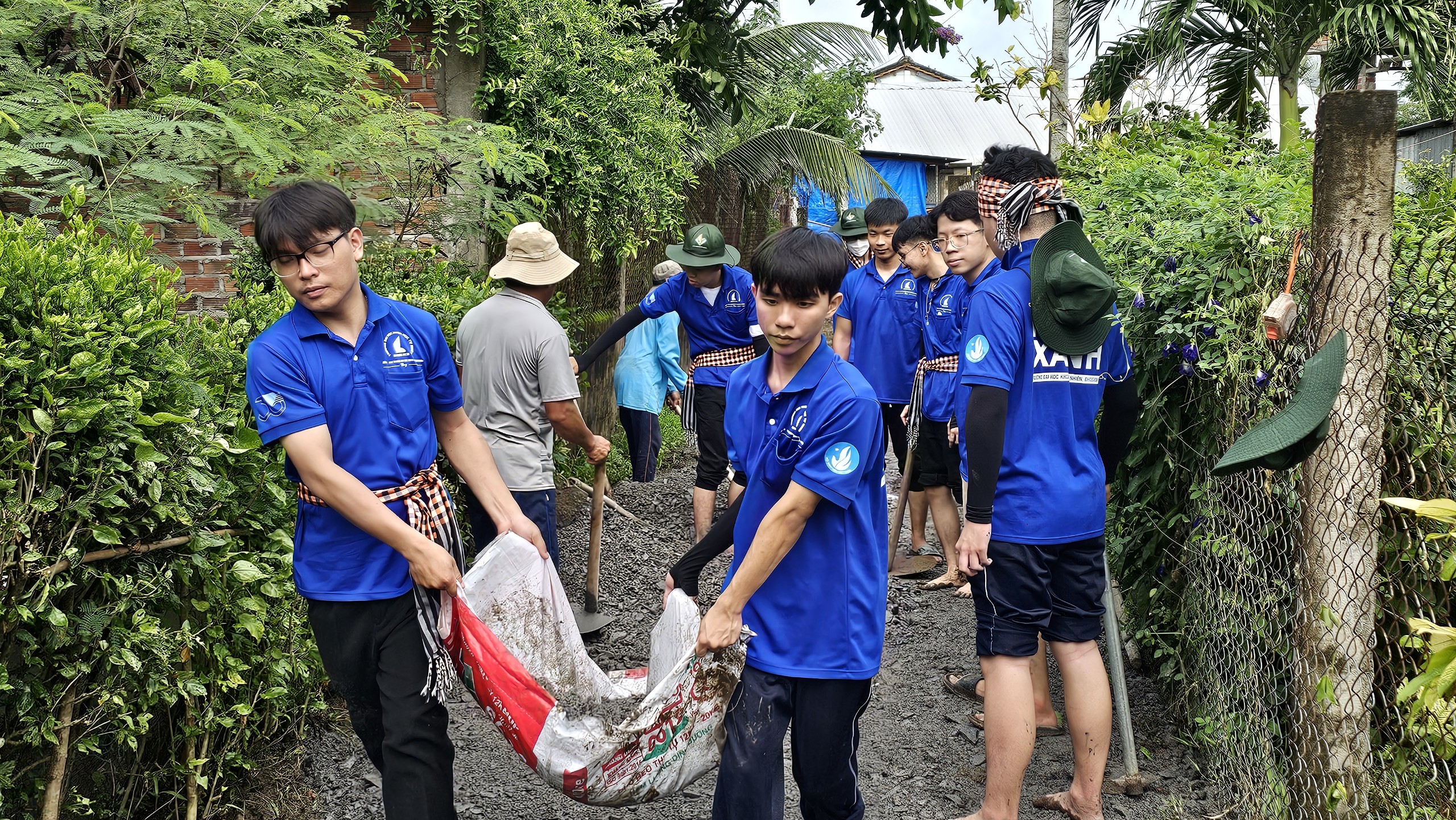 Sinh viên tình nguyện giúp vùng quê giải quyết những khó khăn- Ảnh 5.