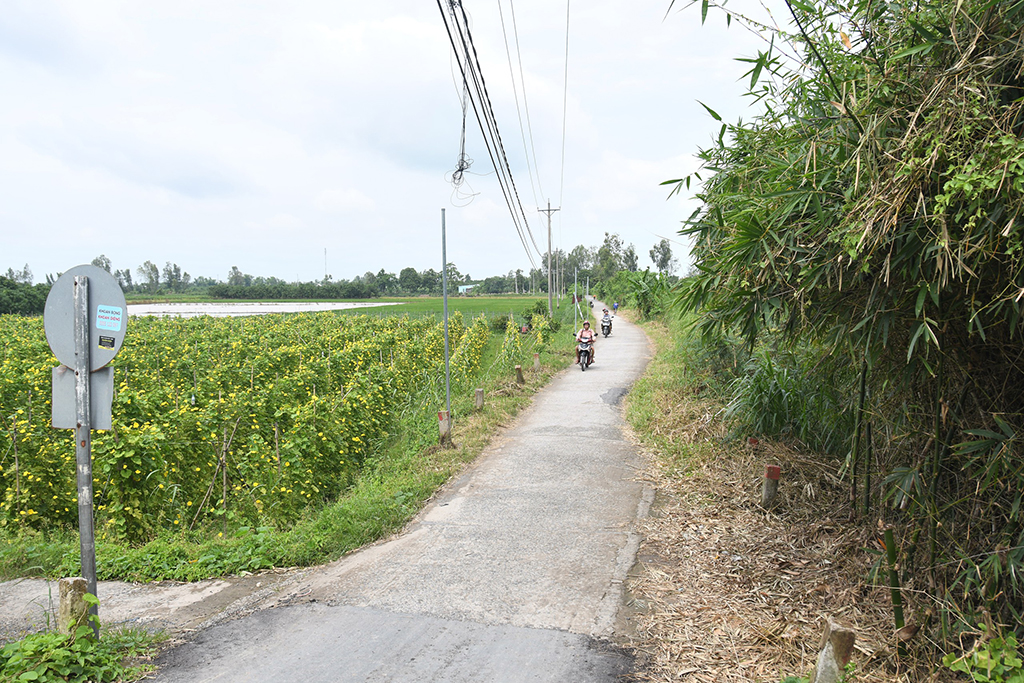 Sinh viên tình nguyện giúp vùng quê giải quyết những khó khăn- Ảnh 4.