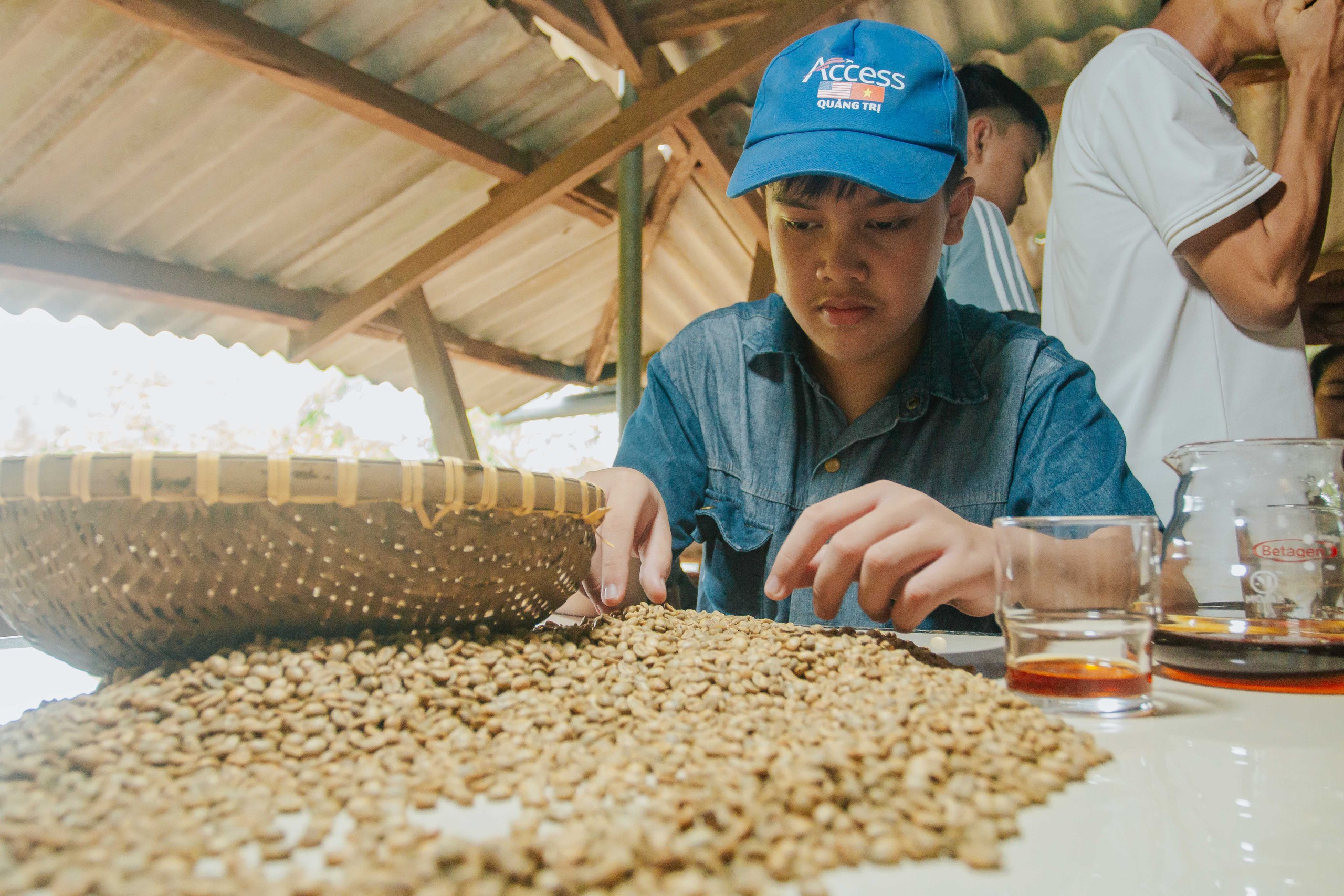 Vượt trăm cây số lên vùng núi Quảng Trị cùng nông dân trải nghiệm trồng cà phê- Ảnh 8.