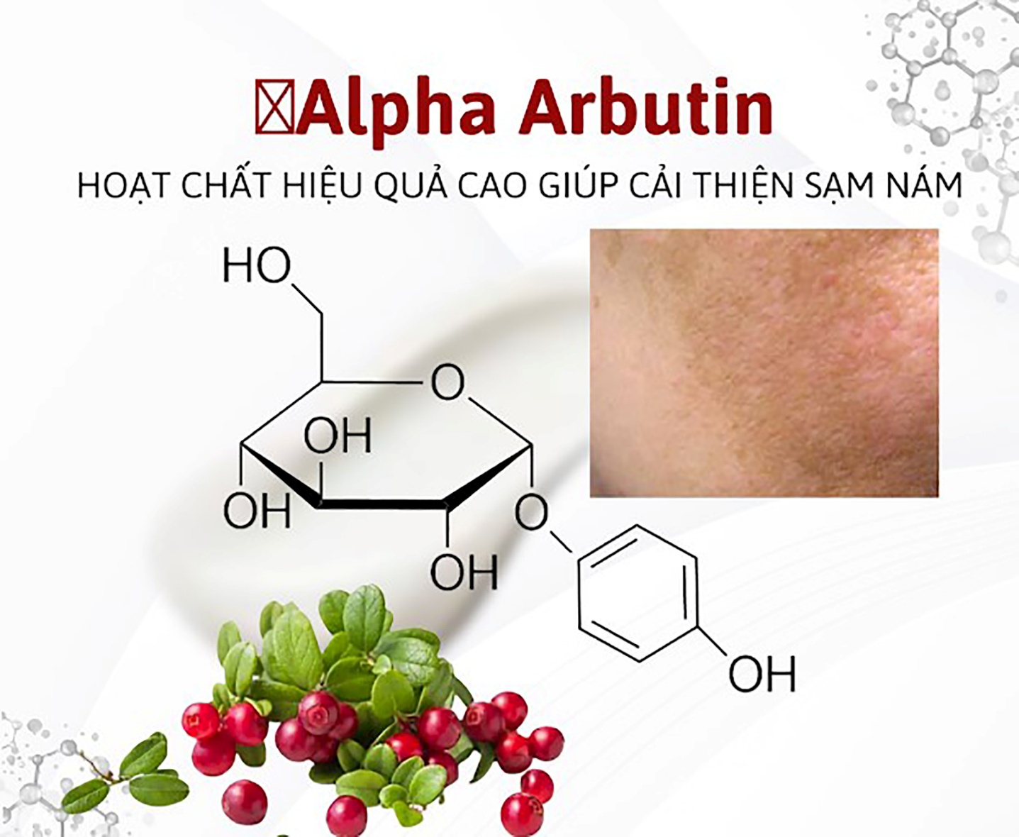 Alpha Arbutin là gì? Tác dụng đối với làn da và những lưu ý khi sử dụng