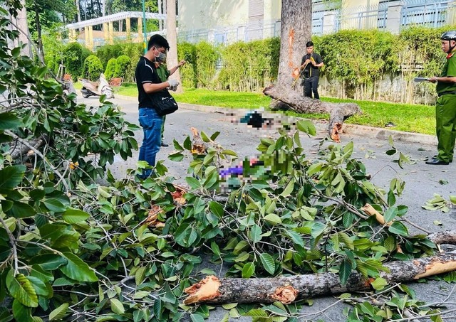 Nạn nhân kể lại giây phút thảm kịch cây gãy tại công viên Tao Đàn- Ảnh 1.