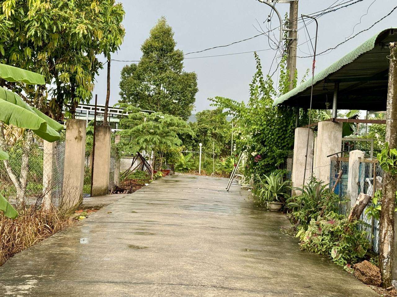 Bình Dương: Lấy đất làm đường không hỏi ý kiến dân, cán bộ bị kỷ luật- Ảnh 3.