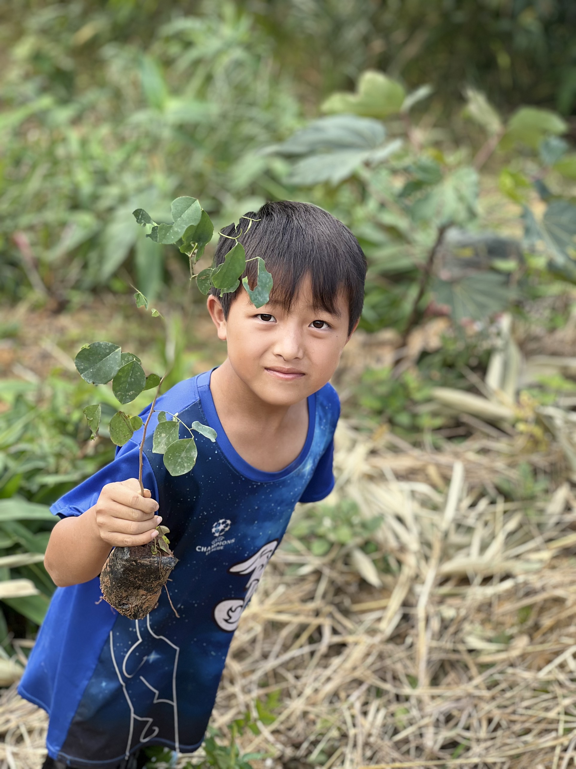 Green Dream trồng cây cùng THPT Newton HN tại Yên Bái