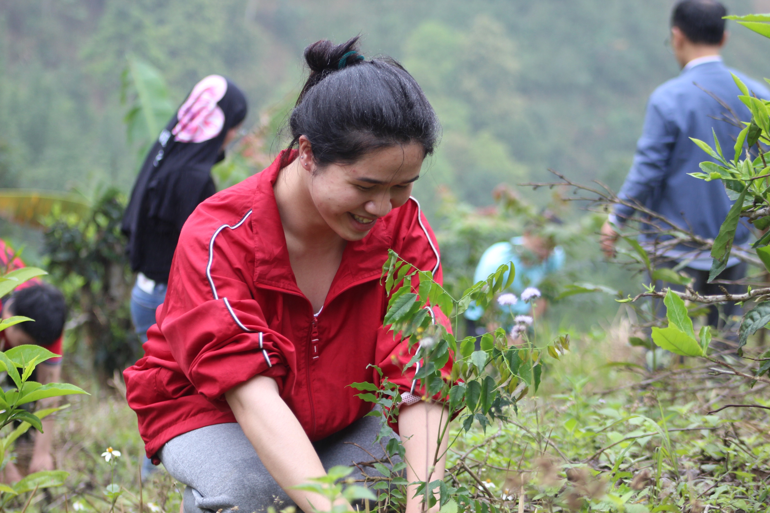 Green Dream trồng cây cùng Tổng cục thuế tại Cao Phong, Hòa Bình