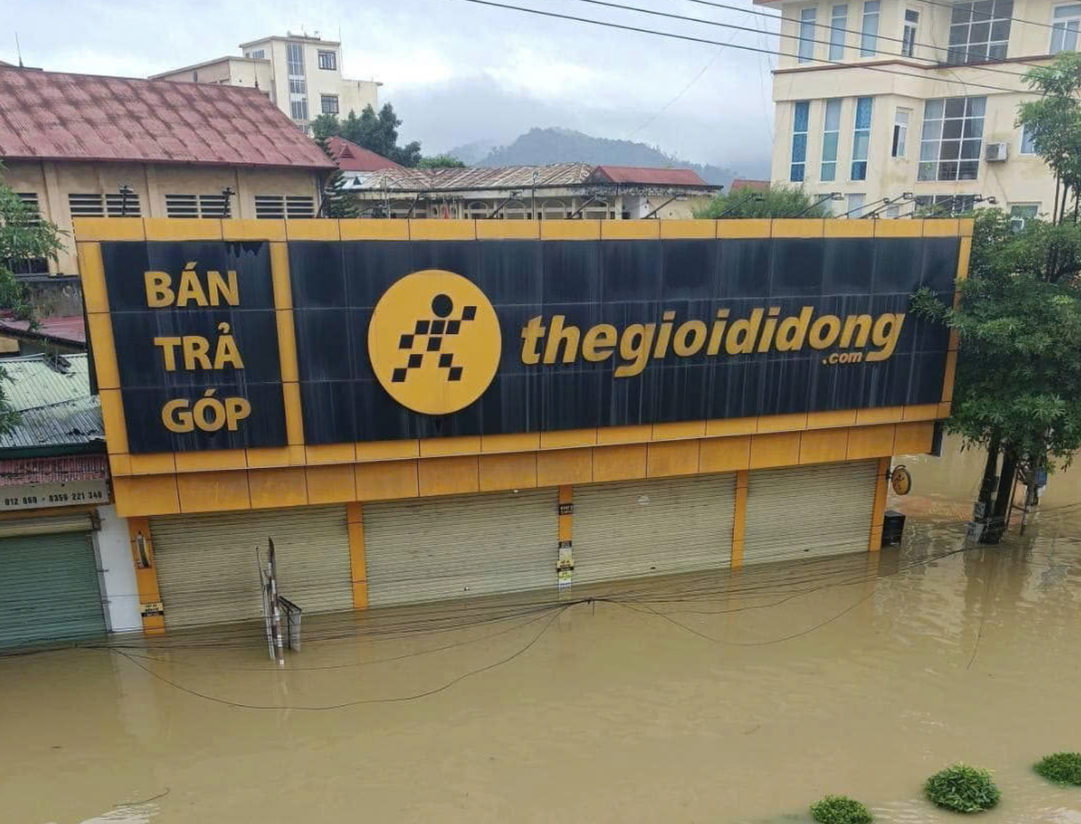 Thế Giới Di Động tặng 10.000 nồi cơm điện cho người dân bị ảnh hưởng lũ- Ảnh 1. Thế Giới Di Động tặng 10.000 nồi cơm điện cho người dân bị ảnh hưởng lũ- Ảnh 1.