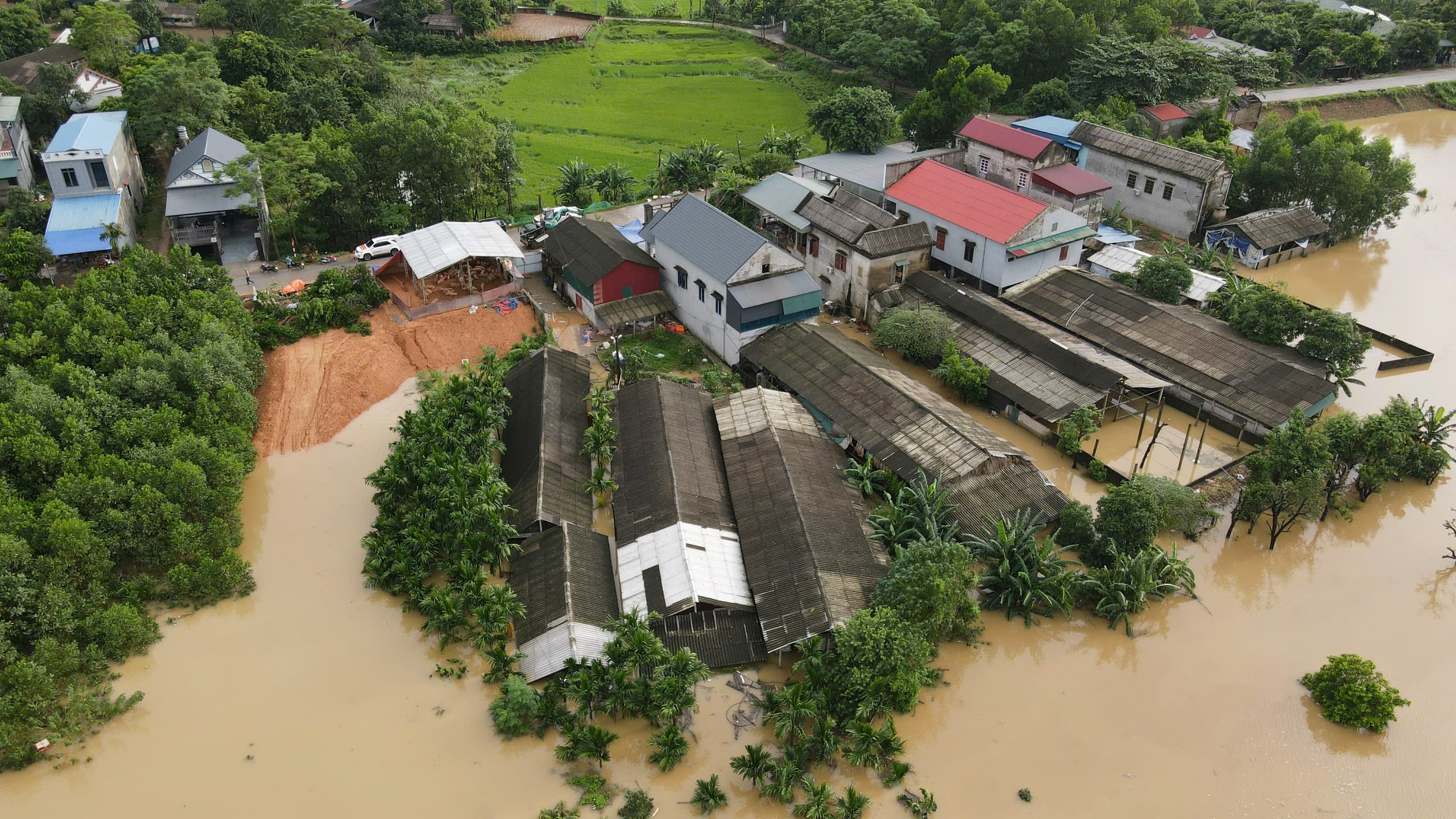 [FLYCAM] Cận cảnh vỡ đoạn đê 22 mét trên sông Lô, nhà dân ngập đến nóc- Ảnh 1.