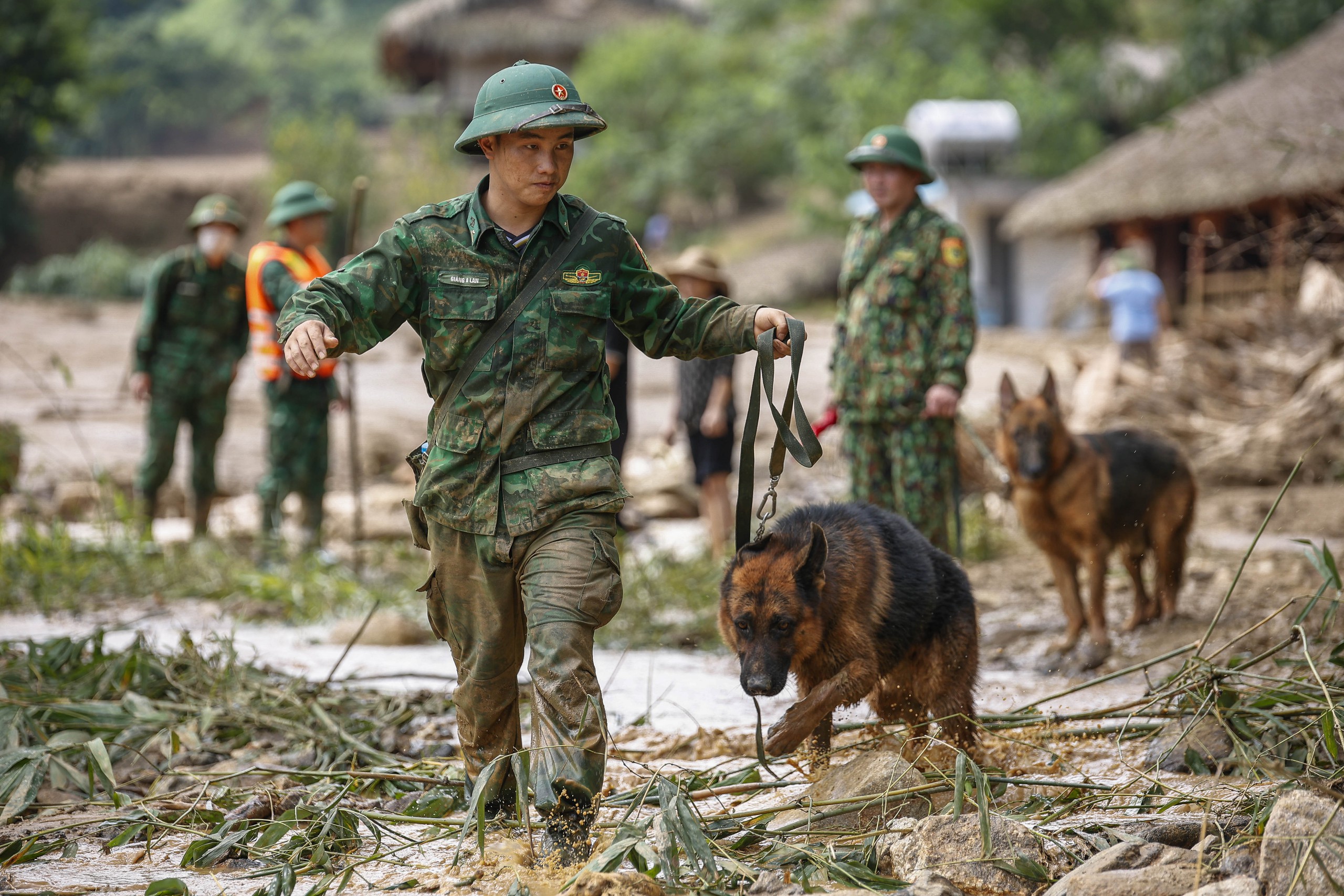 'Lực lượng' đặc biệt tham gia tìm kiếm nạn nhân ở Làng Nủ- Ảnh 1.