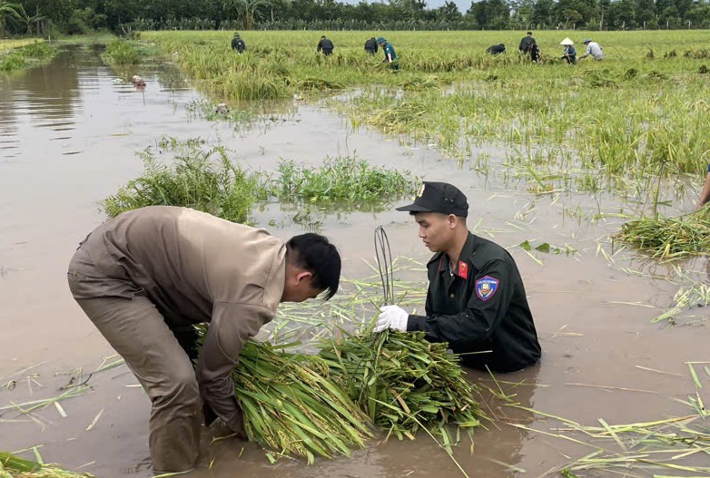 Cảnh sát cơ động băng rừng cứu người bị nạn- Ảnh 3.