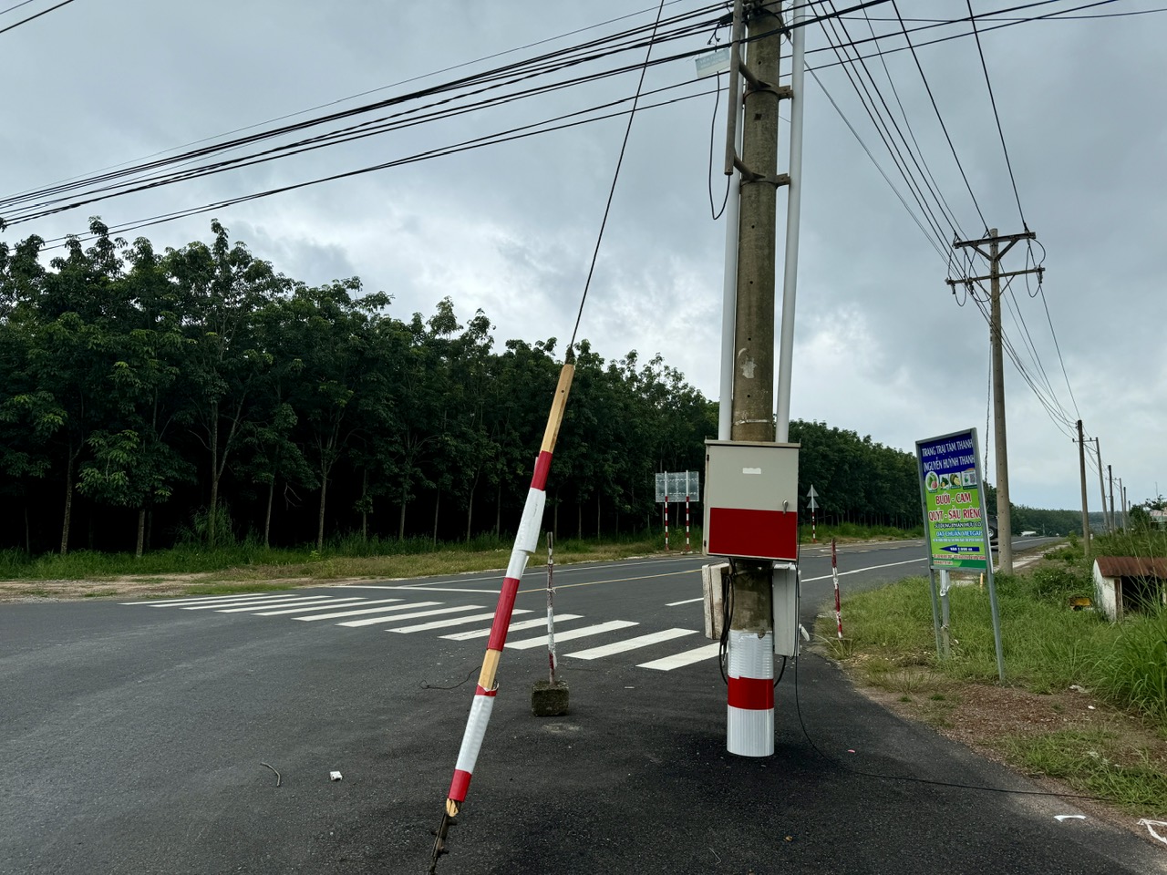 Bình Dương: Nhiều công trình đầu tư công vi phạm đấu thầu, nhưng chỉ rút kinh nghiệm- Ảnh 3.