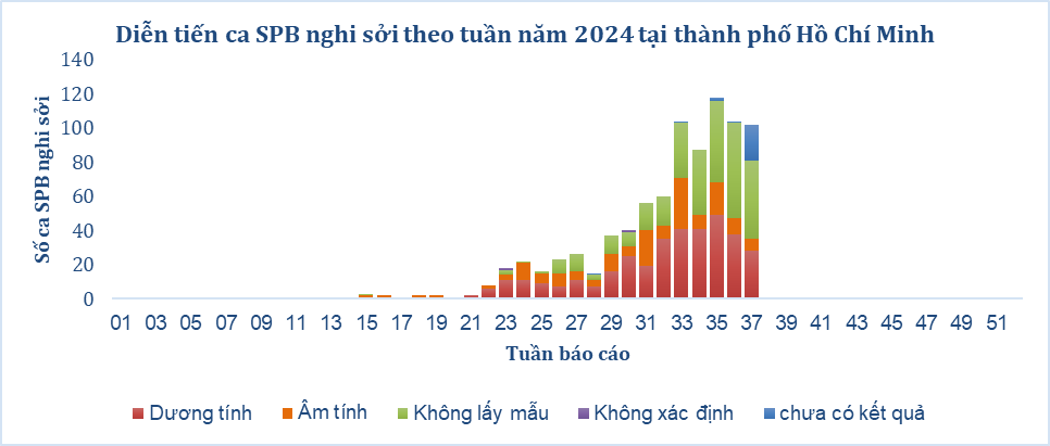 Địa phương nào ở TP.HCM đang có nhiều ca sởi nhất?- Ảnh 2.