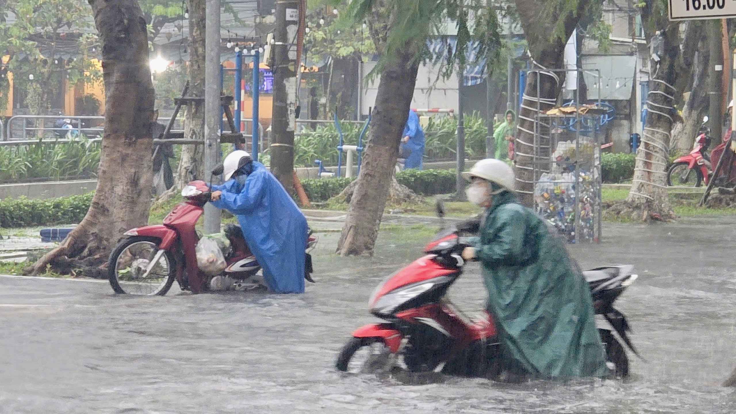 TP.Đà Nẵng: Mưa lớn kéo dài, chính quyền sẵn sàng phương án sơ tán người dân- Ảnh 11.