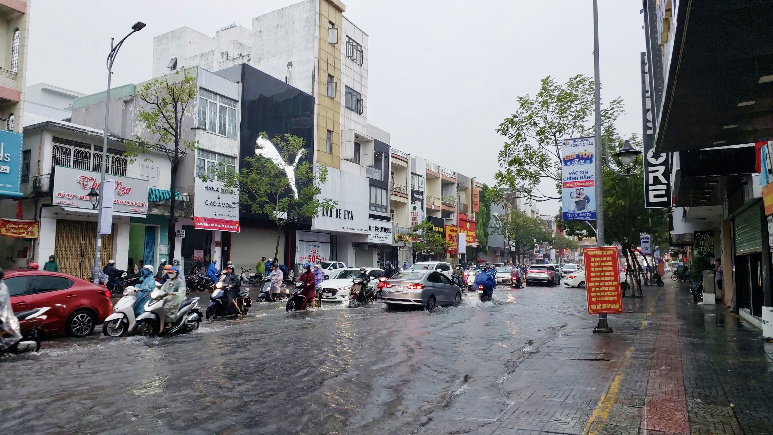 TP.Đà Nẵng: Mưa lớn kéo dài, chính quyền sẵn sàng phương án sơ tán người dân- Ảnh 3.