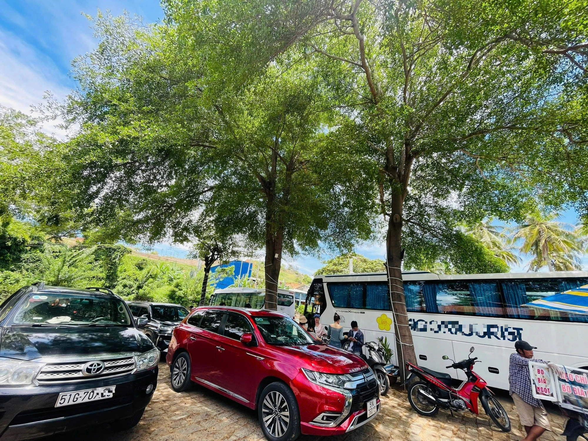 Du lịch Bình Thuận 'hốt bạc' nhờ lượng khách tăng gấp 3- Ảnh 2. Du lịch Bình Thuận 'hốt bạc' nhờ lượng khách tăng gấp 3- Ảnh 2.